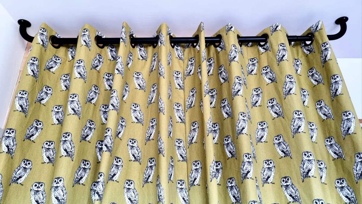 What I've been creating